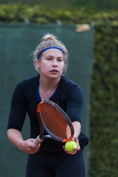 Bild 368 - NL VfL Westercelle - SVE Wiefelstede : Ergebnis: 8:1